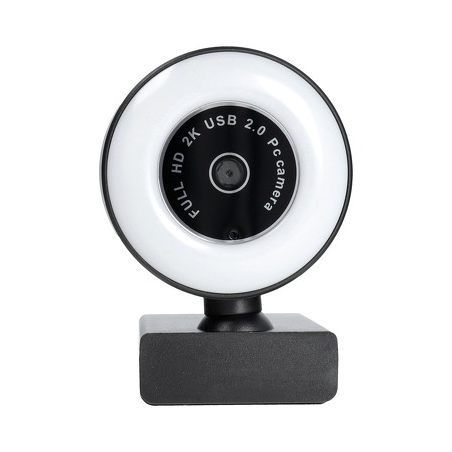 WEBCAM AVEC MICROPHONE