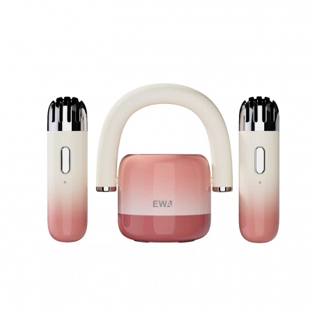 Mini Karaoké Bluetooth Rose EWA - Enceinte Portable avec Micro